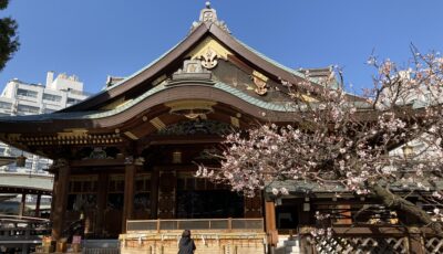 2018年度終講報告